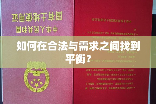 湛江如何在合法与需求之间找到平衡？
