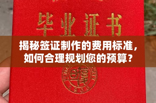 湛江揭秘签证制作的费用标准，如何合理规划您的预算？